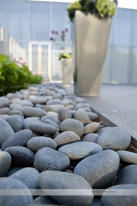 north carolina museum of art courtyard