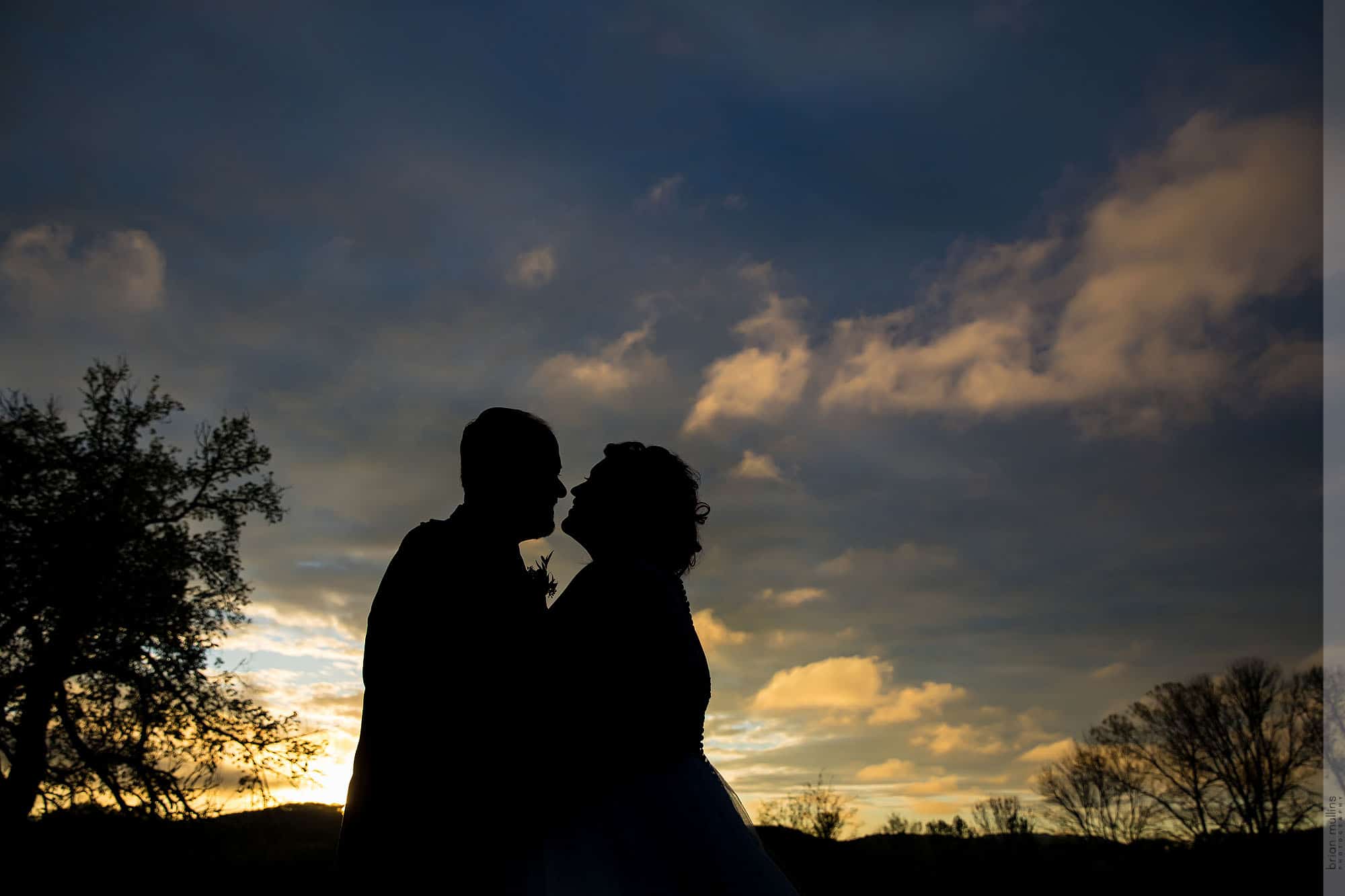 wedding at mint springs farm