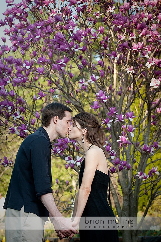 engaged couple kissing at Duke gardens