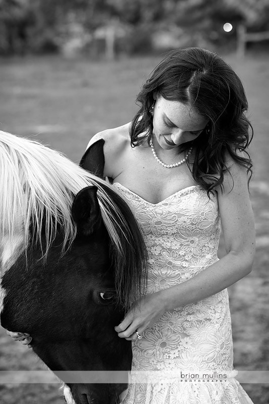 bride and horse