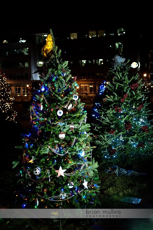 christmas trees at american tobacco campus