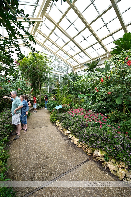 durham museum of life and science butterfly house