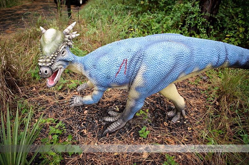 dinosaur exhibit