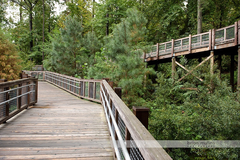 elevated platforms at durham museum of life and science