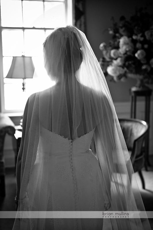 gorgeous photo of backlit bride