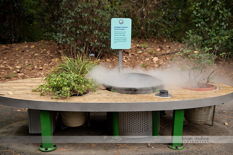 water vapor exhibit - durham museum of life and science