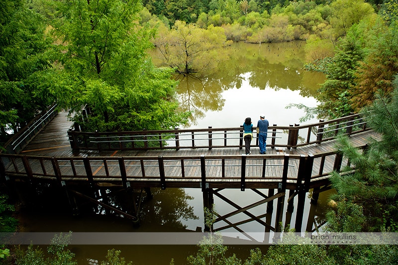 beautiful scenery at durham museum of life and science