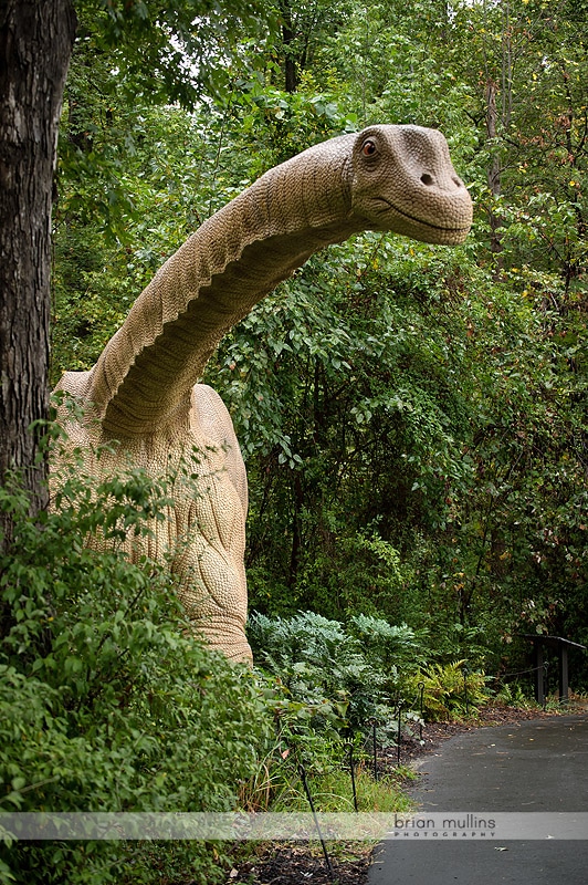 brontosauras at durham museum of life and science