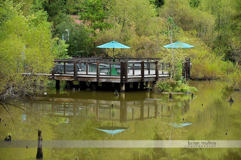 waterfront at durham museum of life and science