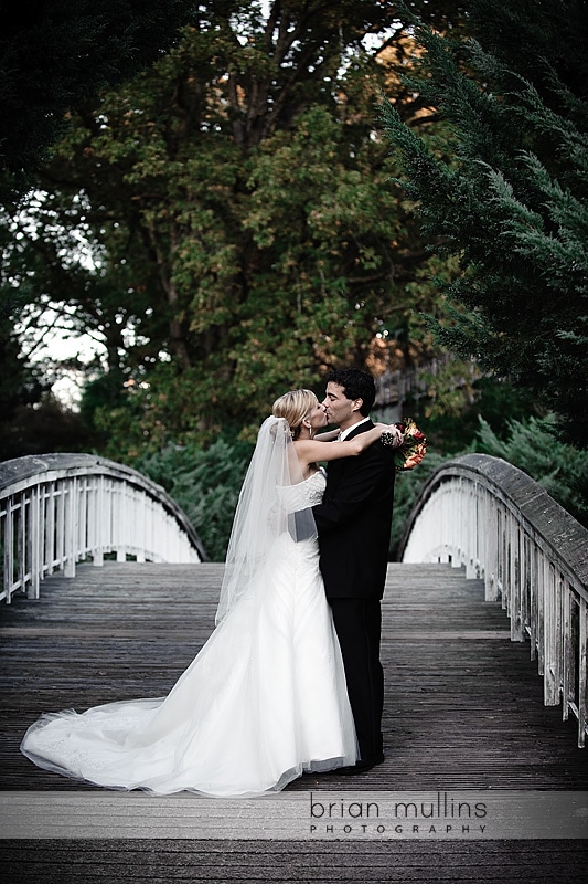 Raleigh NC wedding portrait