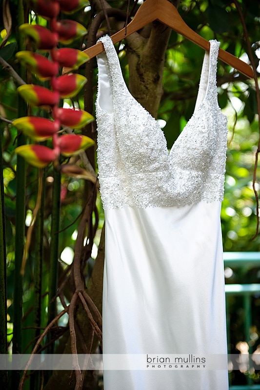 wedding dress hanging in butterfly garden