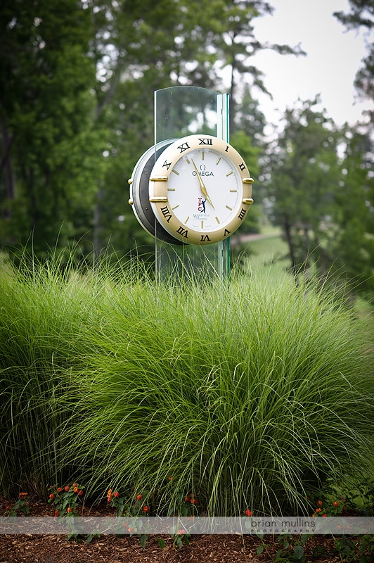 omega clock at TPC wakefield