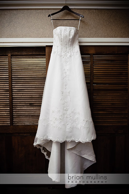 Wedding Dress - Grove Park Inn Wedding Photography